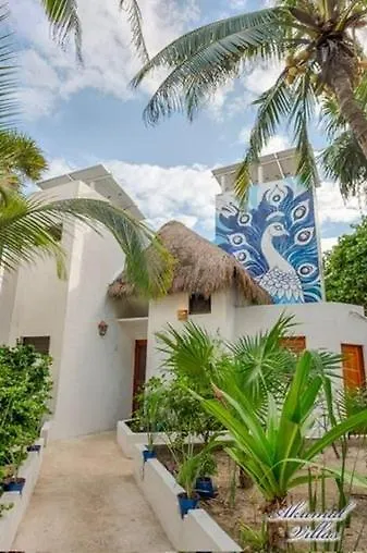 Beachfront Hammock Heaven Akumal 0*,
