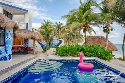 Beachfront Hammock Heaven Akumal