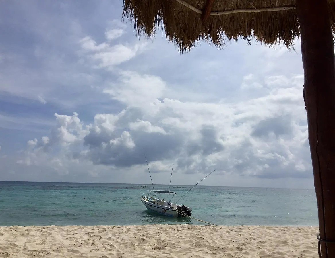 Beachfront Hammock Heaven Akumal México