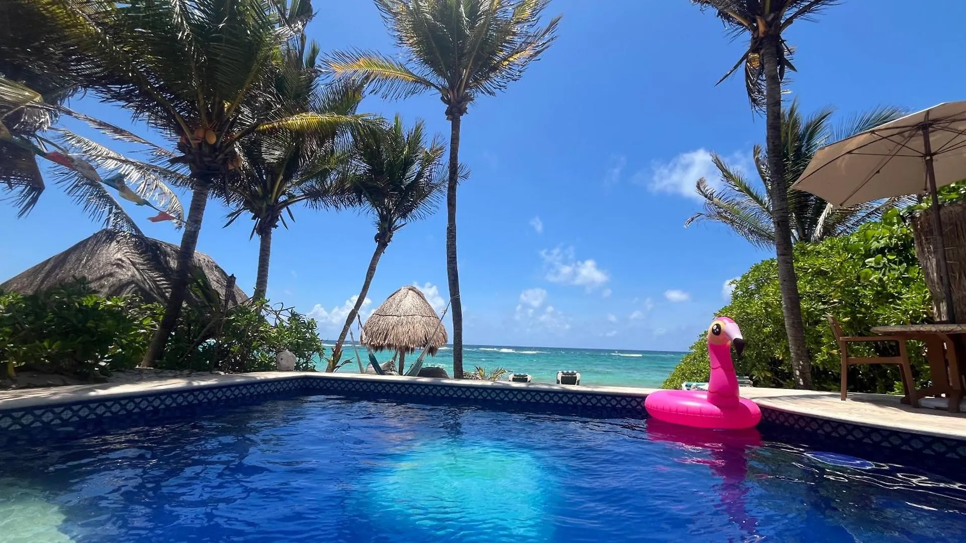 Beachfront Hammock Heaven Akumal México