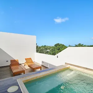 1-bedroom-penthouse-with-private-rooftop-plunge-pool-in.tulum-hotels.net/